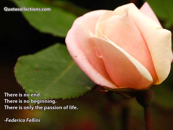 Federico Fellini Quotes5